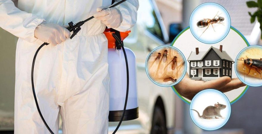 Çelebi Böcek İlaçlama