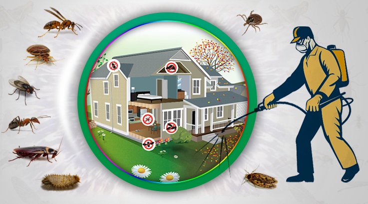 Çelebi Böcek İlaçlama