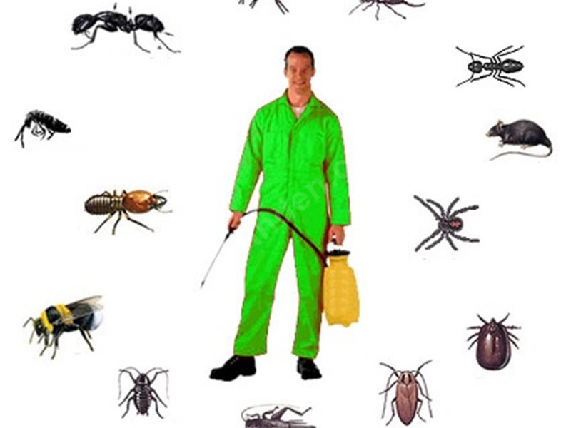 Çelebi Böcek İlaçlama